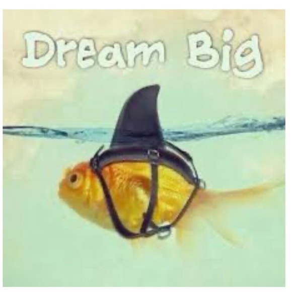 Meet your Posher, Diana - Picture 1 of 1